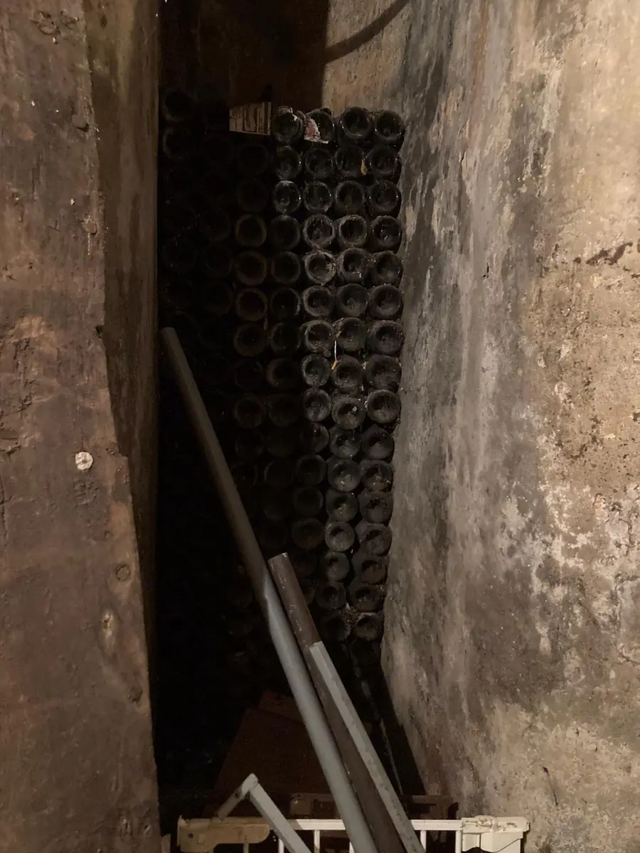 Anciennes bouteilles en cave — débarras de cave à Paris